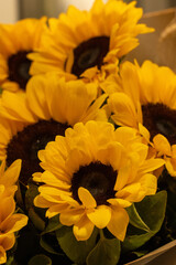 Beautiful bouquet of sunflowers Space for text.