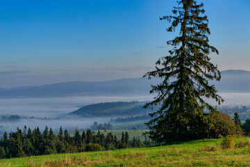 Beautiful landscape of the foggy Podhale region. Poland
