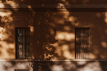 Schatten eines Baumes an einer Hauswand 