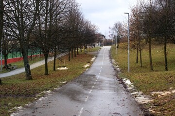 Bare trees with bicycle road in Park - February , winter with little snowfall - snow has recently melted - warming , road suitable for driving