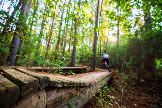 A wooden boardwalk trail in the woods with a mountain biker in the distance
