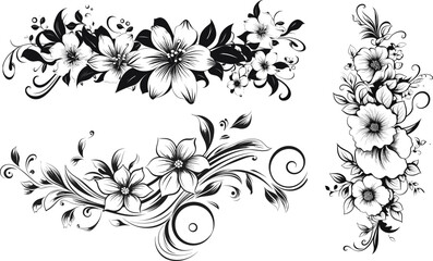 Vector Floral Border Design Isolated on White Background - Black and White Illustration