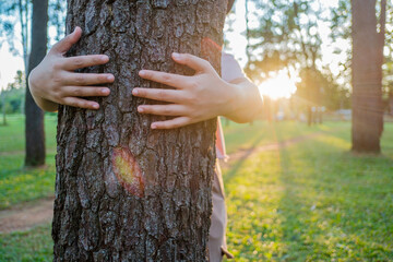 People hugging trees with sunlight streaming over their shoulders. Concept. Protect nature....