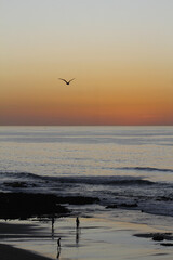 ezqzdzae zqzffz zffz