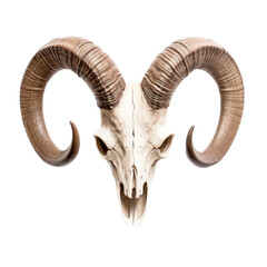 Fototapeta premium Bighorn Ram skull with horns, front view as an isolated and transparent PNG in a Nature-themed, photorealistic illustration. Generative ai