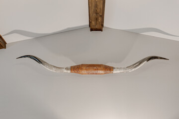Authentic Longhorn Steer Horn Mounted on Wall with Intricate Carved Leather Centerpiece in Modern...