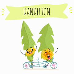 Vector cartoon character dandelion, funny character, medicinal plant, cooking.
