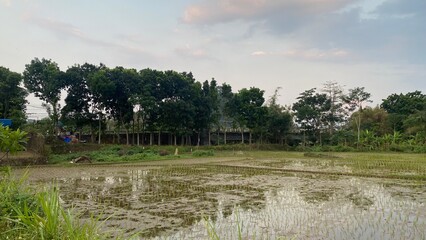 fertile and beautiful rice fields and agricultural land in the mountainous area