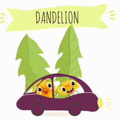Vector cartoon character dandelion, funny character, medicinal plant, cooking.
