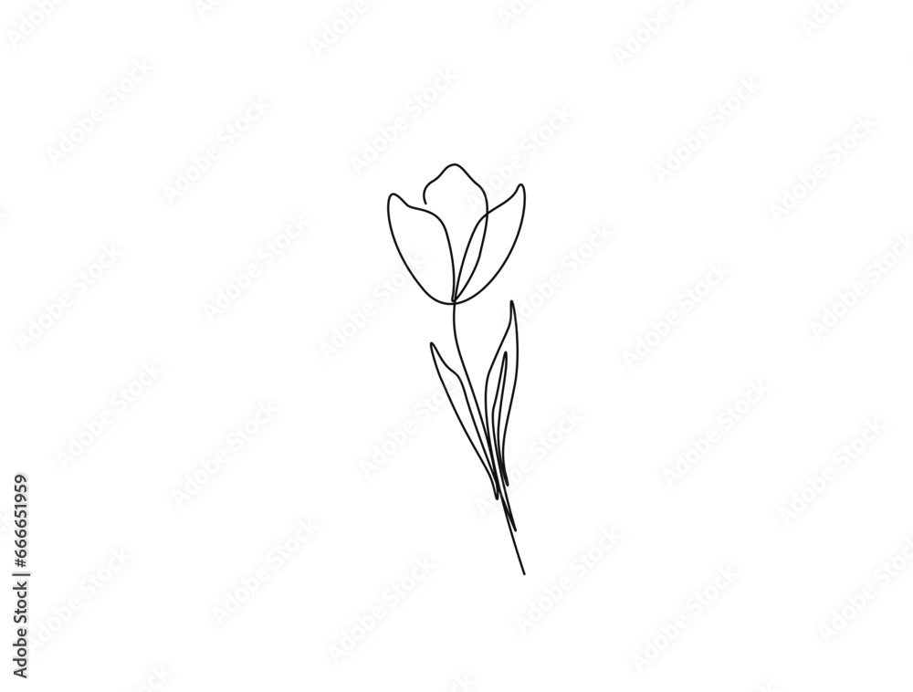 Wall mural Continuous one line drawing of tulip flower. single line flower vector illustration.