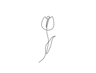 Continuous one line drawing of tulip flower. single line flower vector illustration.
