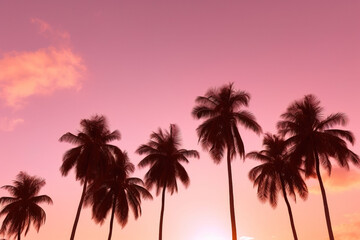 Fototapeta premium Palm Trees During Pink Sky Sunset