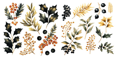 black and gold hollies and berries watercolor vectors