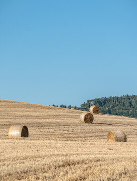 4 balle @ riserva naturale lucciola bella, pienza