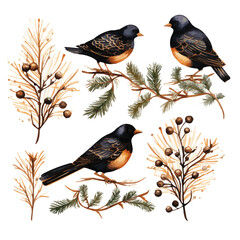 set of birds on branches vectors