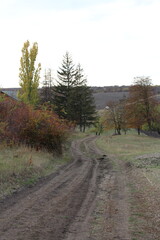 A dirt road with trees and grass