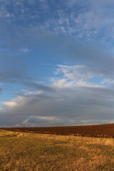 A field with a blue sky and clouds