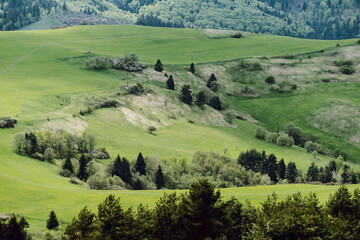 Pieniny Mountains in Poland. Photo taken on the yellow trail to Durbaszka.