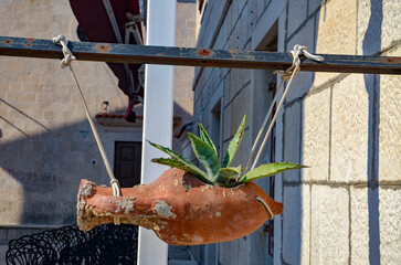 Green flower in a hanging pot in the shape of a fish - obrazy, fototapety, plakaty
