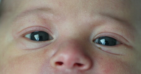 Little newborn baby macro eyes