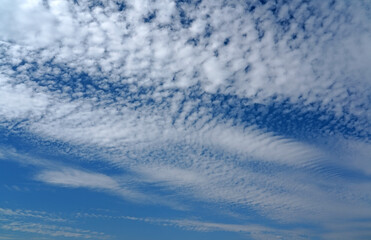 blue sky with white clouds