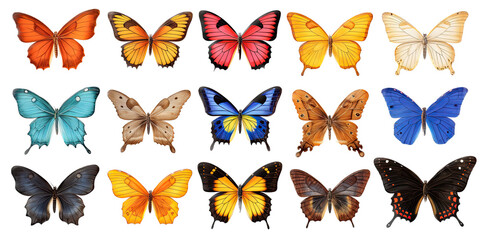an assortment of exotic butterflies, top view as an isolated and transparent PNG in a Nature-themed, photorealistic illustration. Generative ai - obrazy, fototapety, plakaty