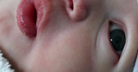 Macro close-up of newborn baby face