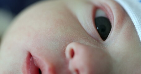 Naklejka premium Macro closeup of newborn face, baby infant eyes nose and mouth