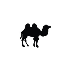 Camel icon. Simple style Arabian tourism poster background symbol. Camel brand logo design element. Camel t-shirt printing. Vector for sticker.