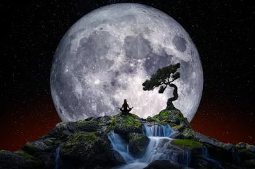 Printed kitchen splashbacks Full moon and trees Woman meditating in front of the moon