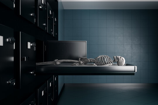 A human skeleton lies on a table in the morgue. Concept of exhumation, death, autopsy, cause of death, funeral, funeral services. 3D illustration, 3D render, copy space.