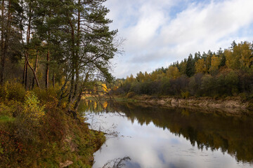 Fototapeta premium Golden autumn scene with river Gauja and surrounding colourful forest in October in Latvia.
