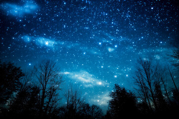 Fototapeta na wymiar Beautiful Stars In The Sky Above The Forest Trees. Starry Sky Landscape. Ai Generated 
