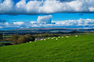 Tandle Hill landscape view of green fields and sheep grazing. Beautiful Vista 