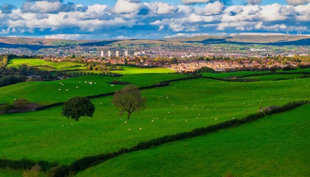 Tandle Hill landscape view of green fields and sheep grazing. Beautiful Vista 