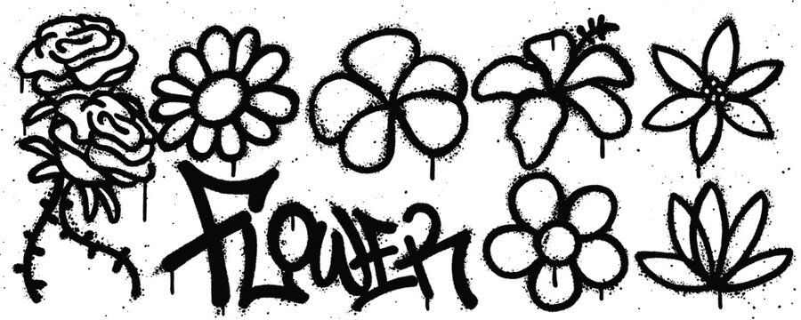 Set flower graffiti spray paint. Collection of rose, daisy, frangipani, hibiscus, jasmine, lotus Isolated Vector