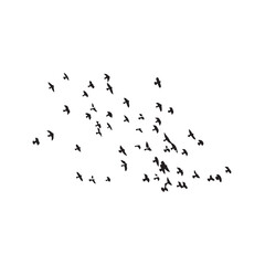Flock of birds icon. Simple style bird nature poster background symbol. Flock of birds brand logo design element. Flock of birds t-shirt printing. Vector for sticker.