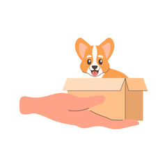 Doggie, corgi Pet adoption, Help homeless animals find