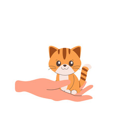 kitty, cat, Pet adoption, Help homeless animals find .