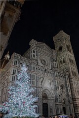 Illuminated Christmas tree in the center of Florence during the holidays - 666688917
