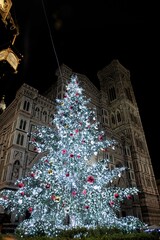 Illuminated Christmas tree in the center of Florence during the holidays - 666688979