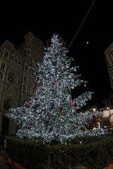 Illuminated Christmas tree in the center of Florence during the holidays - 666689142