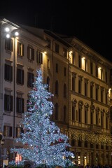 Illuminated Christmas tree in a city street