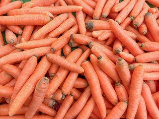 raw food background with heap of fresh carrots