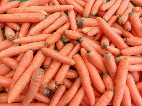 raw food background with heap of fresh carrots