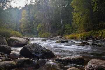 Beautiful water drop on a dandelion flower seed macro in nature.