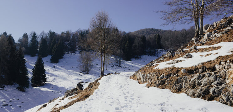 Winter in the Prealps. Road in the middle of the woods. Photographed in Combai, Treviso, Italy. Winter landscape.