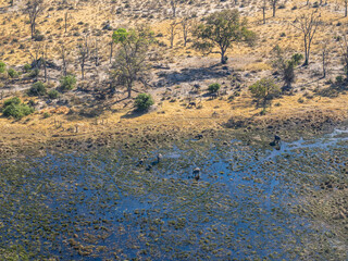 Botswana
