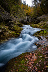 Fototapeta na wymiar river, waterfall, creek, forest, bavaria