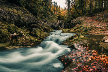 river, waterfall, creek, forest, bavaria